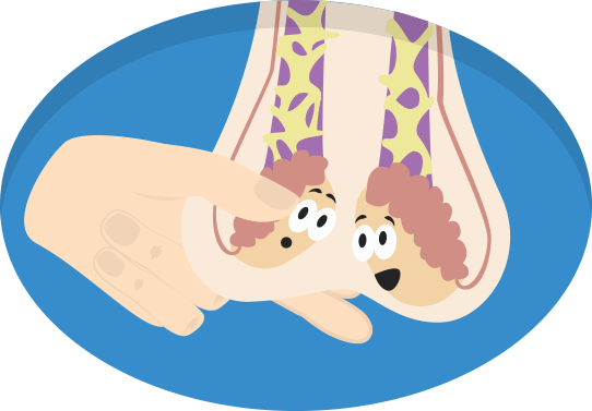 Check Illustration 2